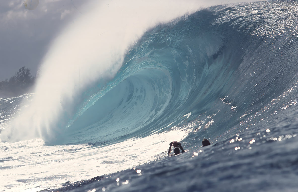 Surfing & Surf Film Archives | Historic Footage & Preservation | Nalu ...